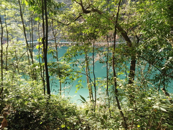 中亚楠木林风景区（宜昌夷陵区雾渡河）优惠门票预订