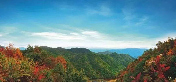 宜昌西塞国笔峰洞森林公园，宜昌新的旅游景点将建玻璃栈桥