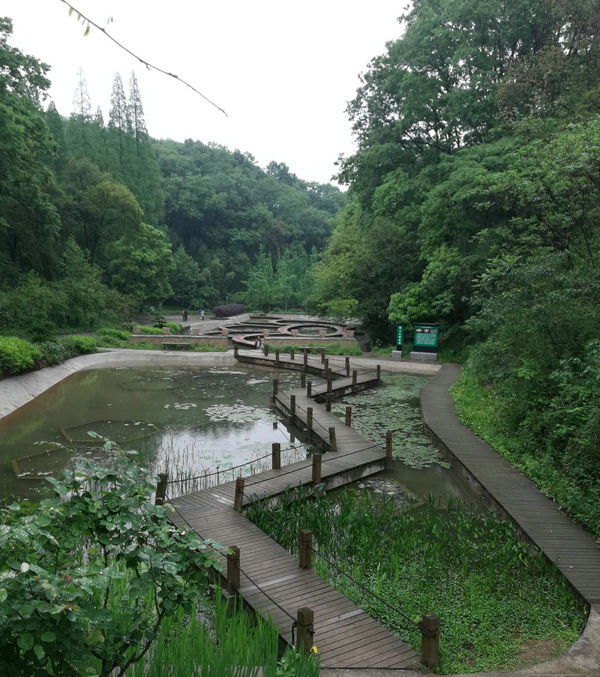 宜昌乡村旅游景点木鱼山介绍，木鱼山旅游区