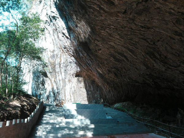 楠木林跟团一日游（宜昌到中亚楠木林风景区旅游直通车）