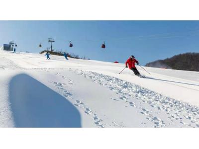 绿葱坡滑雪一日游